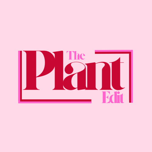 The Plant Edit